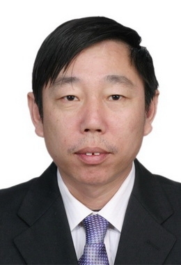 绿油油的榕树的第一张照片--山东王婆说媒