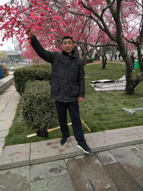 风雨的第一张照片--山东王婆说媒