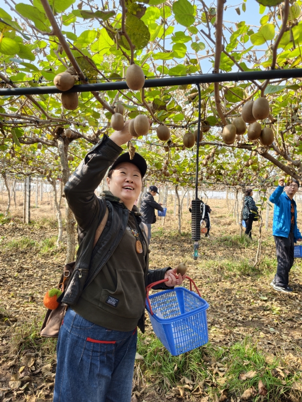 夜莺的第四张照片--山东王婆说媒